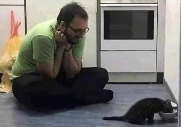 yo cuando voy otra casa y tiene gato