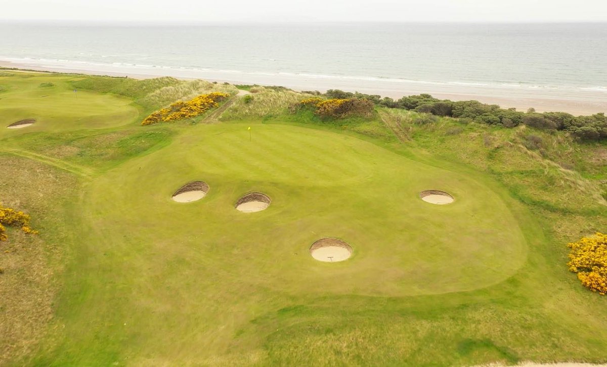 Matt Ginella tweet media