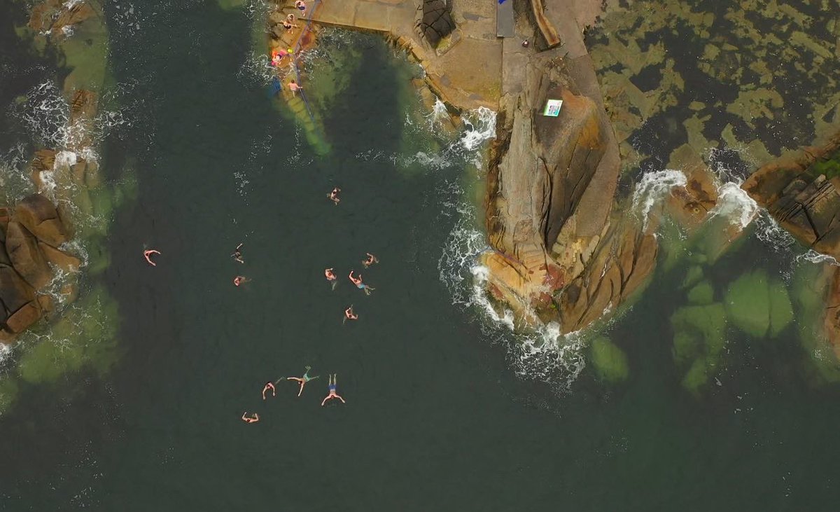 Matt Ginella tweet media