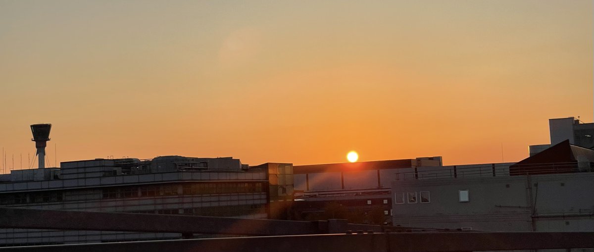 NatureSpeaks's tweet photo. "Chasing the horizon with wheels &amp; wonder" 🚗🌅@admired_art @admired_art
#landscapephotography  #landscape #nature #ThePhotoHour #StormHour  #TwitterNatureCommunity #TwitterNaturePhotography #sunsetvibes #sunsetdrives https://t.co/8NHyFMsgqi