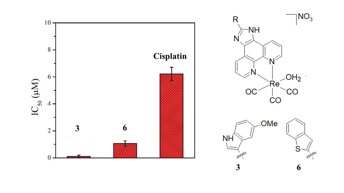 GasserGroup's tweet photo. Great to see our collaborative work with our South African colleagues Profs. Visser and Schutte-Smith @UFSweb on super cytotoxic Re(I) complexes out in @InorgChem. Congrats to @kallol1_  @MariaPozz1  @ChimieParisTech @psl_univ @INC_CNRS 
https://t.co/W39aBpa1S1 https://t.co/VO624P1Pg7