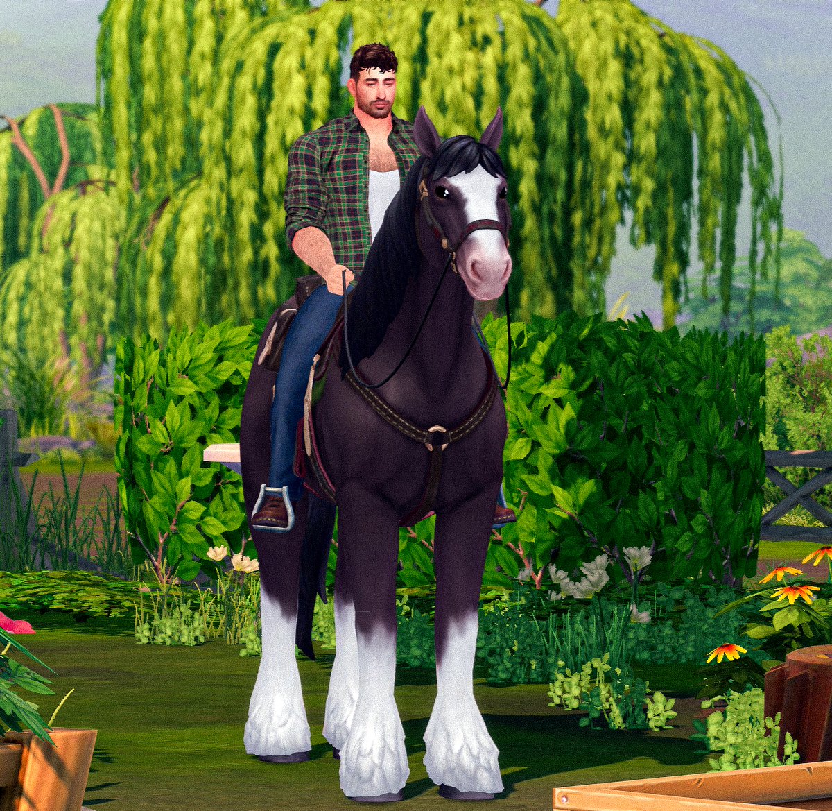 sean_olney's tweet photo. Popped in for a quick visit in Henford-on-Bagley to give Spencer his new horse!

Meet Fraser his Clydesdale Stallion! 🐴♥️ https://t.co/QkuVYnCXnt