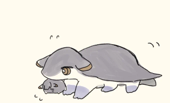 波…波ハル…