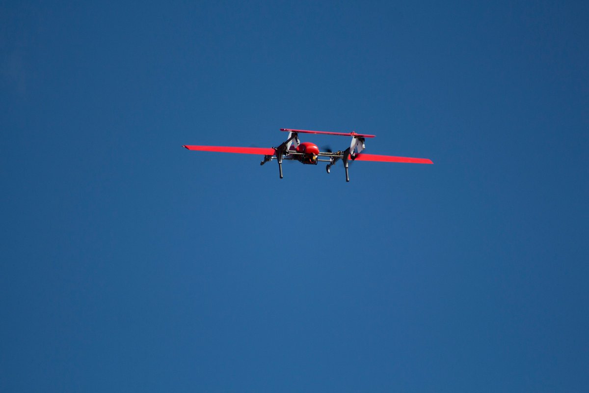 FIXAR_Global tweet media