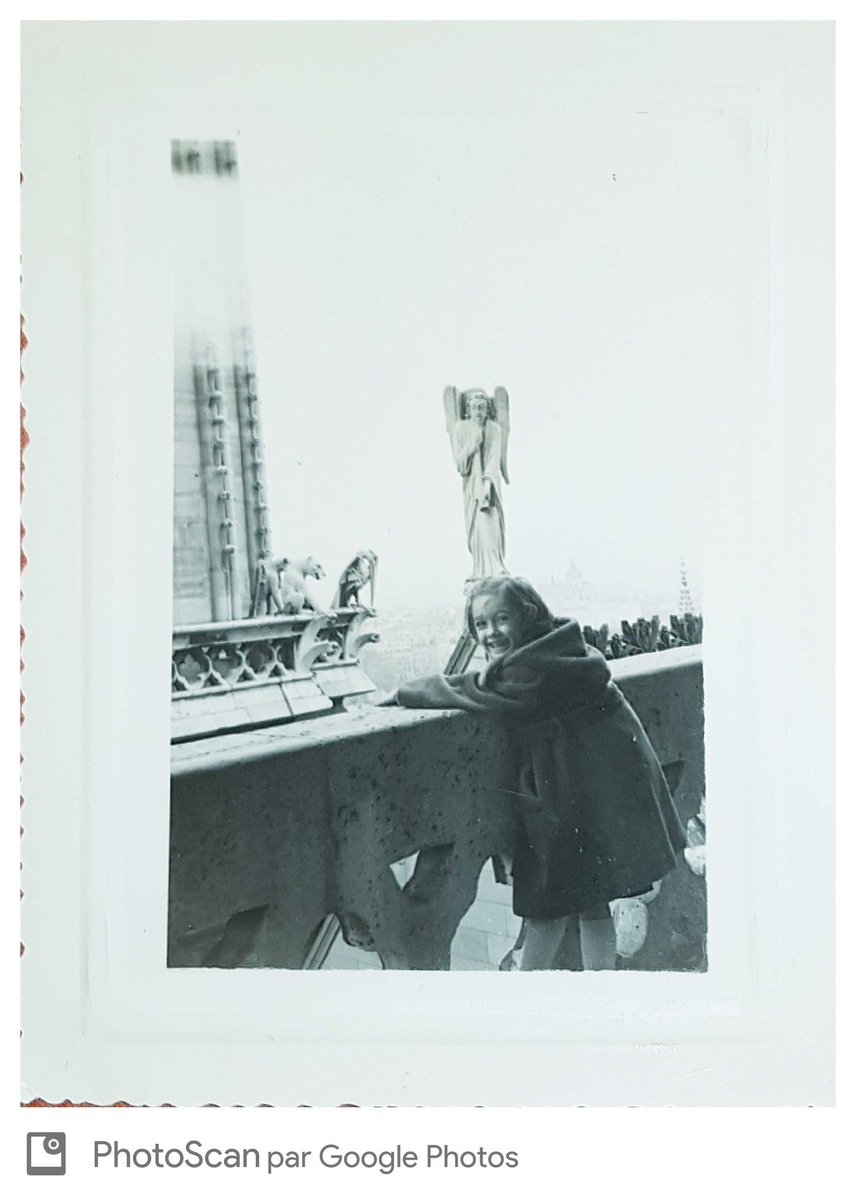 🇲🇫marie-françoise tweet media