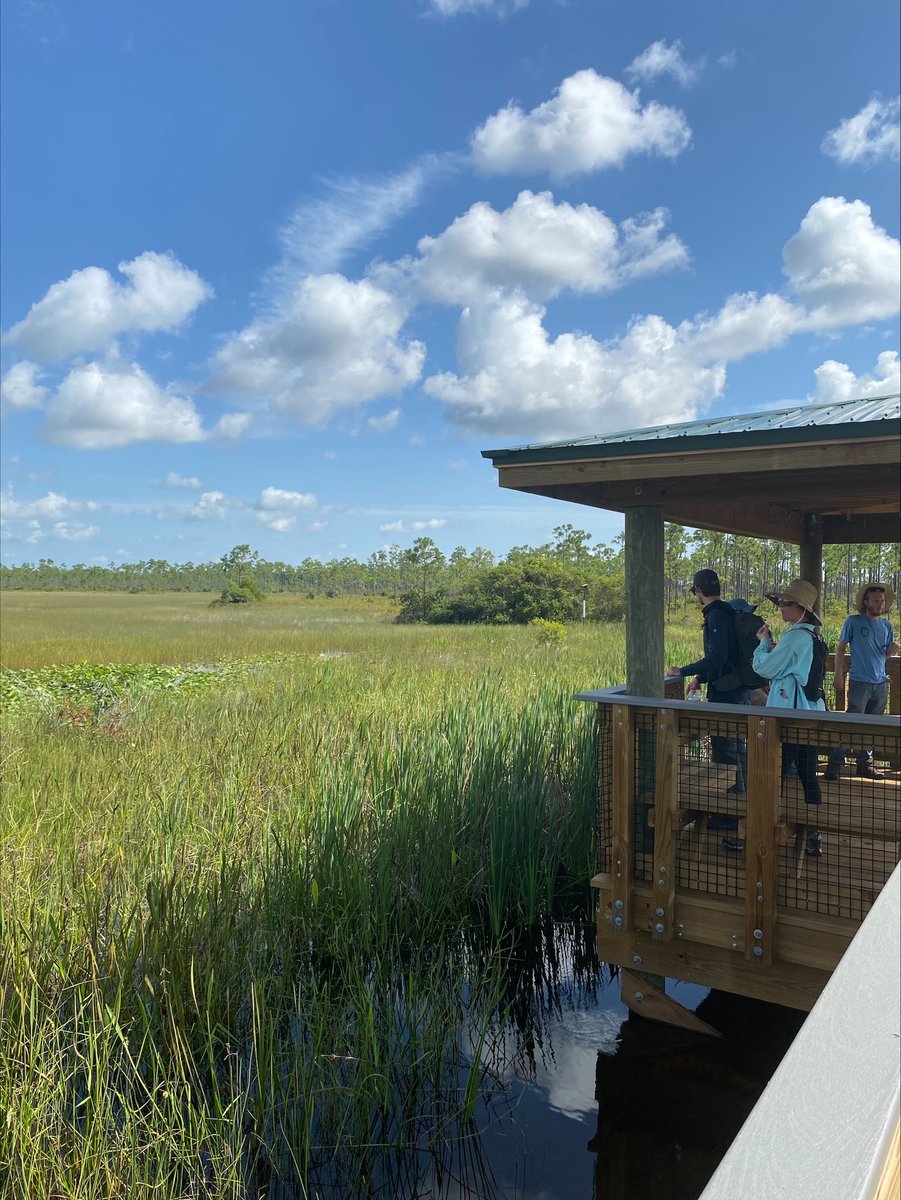 Had such an amazing Latino Conservation Week event! We did birding, hiking, inaugurated our brand new boardwalk and learned vocab like Dora the Explorer! Gracias @LCW_National @HispanicAccess por el apoyo! #LatinoConservationWeek #FWC #YoCuento