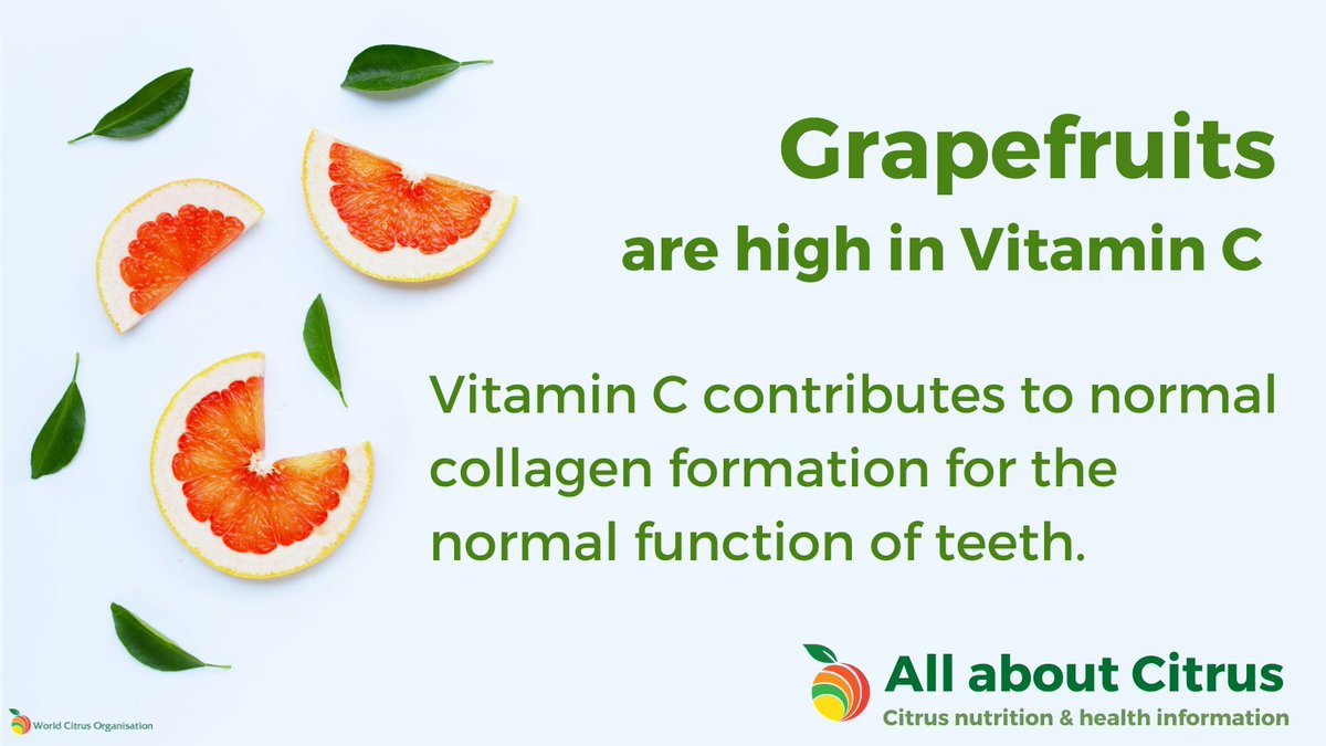 Whether #grapefruits come in 🔴 or ⚪️, do you know what they have in common? Their funky taste and high #VitaminC content! Vitamin C contributes to normal collagen formation for the normal function of teeth 🦷, one more reason to enjoy #grapefruits in your meals 🍴