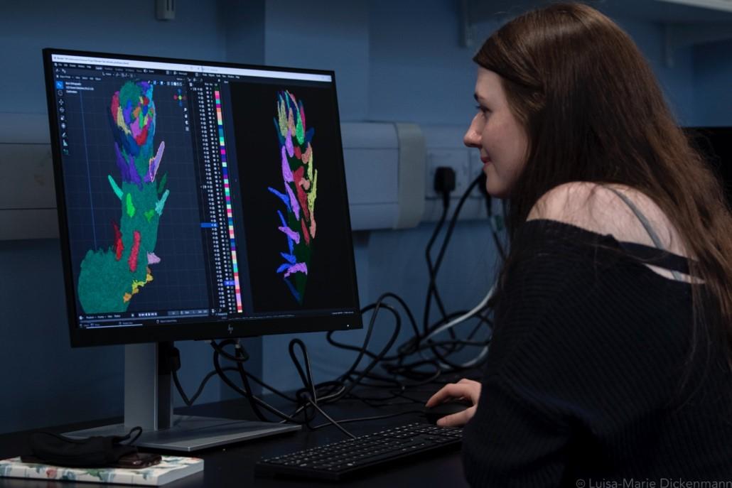We have a new blog out, written by the amazing <a href="/holly_anne__/">Holly-Anne Turner</a> and her experience working in the lab of <a href="/Sandy_Heth/">Sandy Hetherington</a> <a href="/MPEG_Edinburgh/">The Molecular Palaeobotany and Evolution Group</a> investigating the leaf arrangement of a 407-million-year-old plant, Asteroxylon mackiei ed.ac.uk/biology/plant-… <a href="/SBSatEd/">Biological Sciences | University of Edinburgh</a> <a href="/UCC/">UCC Ireland</a>