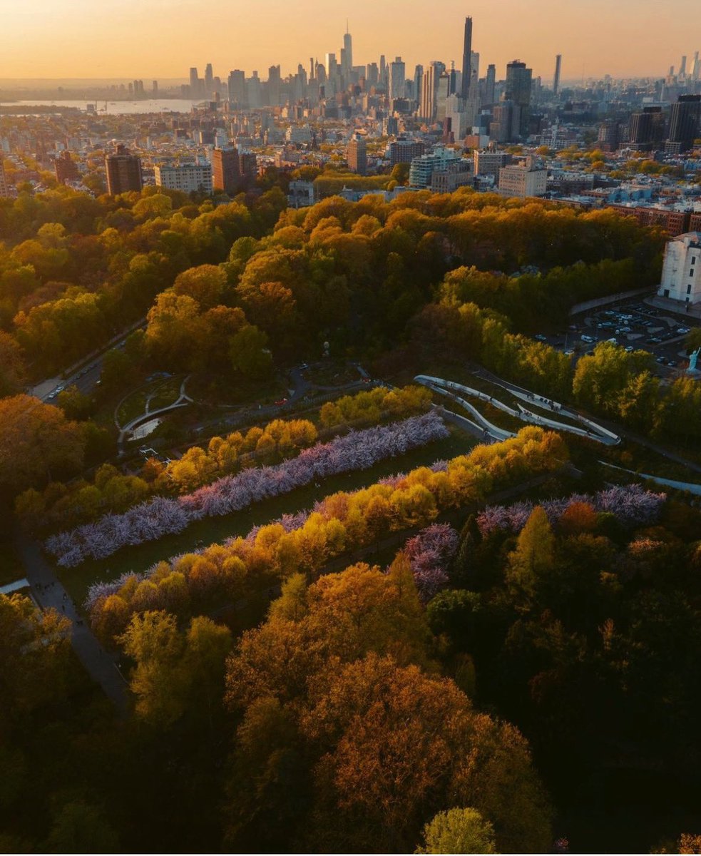 TheLodgeRedHook's tweet photo. Brooklyn in bloom! One of our favorite parks - Prospect Park!🌳 https://t.co/pm1IaPO9bf