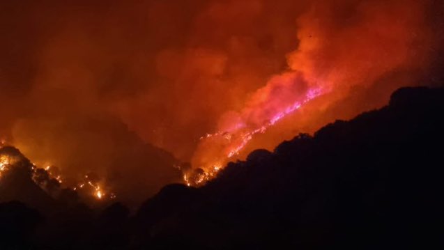deadpoetstan's tweet photo. fa così male vedere la bellissima Sicilia in queste condizioni😔💔

e vedere l’indifferenza totale dei politici e del governo, c’è gente che STA MORENDO e case DISTRUTTE dalle fiamme https://t.co/sLDbo0sICa