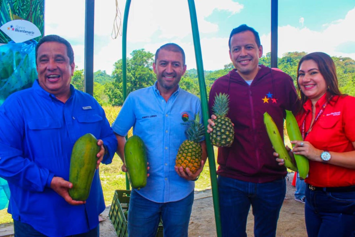 En Trujillo productores reciben financiamiento del Banco Bicentenario #Trujillo Seis productores agrícolas primarios fortalecerán la producción de fresas, piña, papa, entre otros #LuchaAntiimperialista @NicolasMaduro
