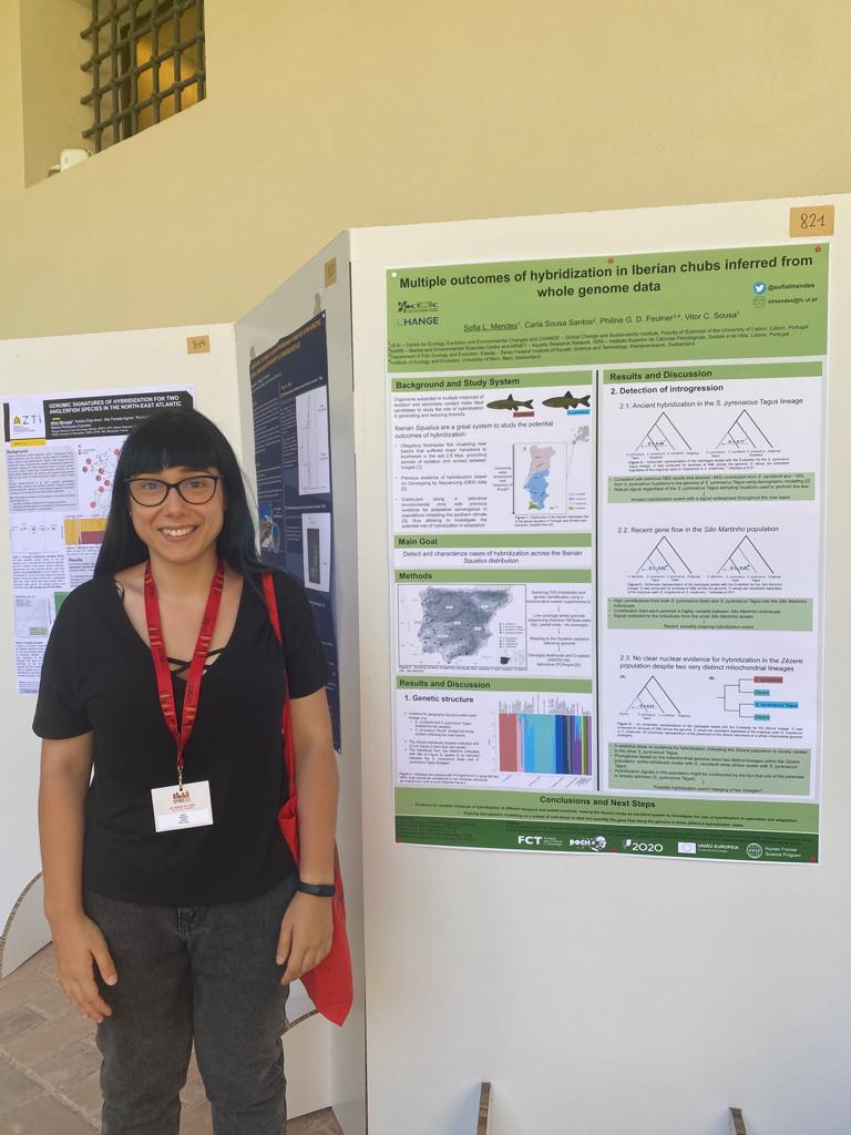 Are you attending #SMBE2023? If you are interested in hybridization and want to hear about a cool 🐟 system to study it, come talk to me today at poster 821 (San Paolo Cloisters) 😄