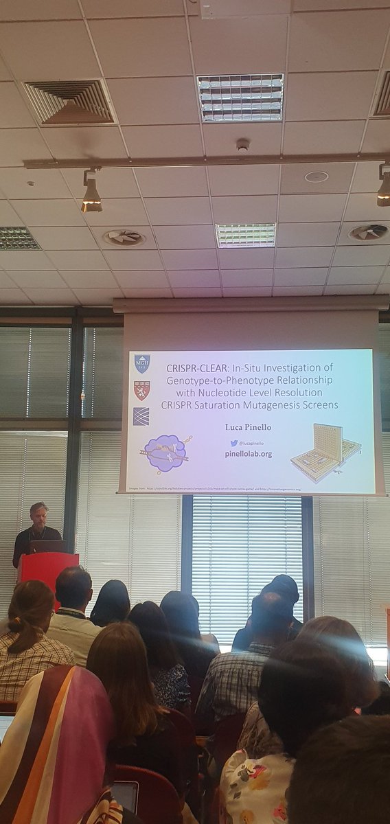 Amazing talk by Luca Pinello on the new CRISPR-CLEAR tool! #Regsys #ISMBECCB2023 Conference, @ISCB  #pinellolab #CRISPR