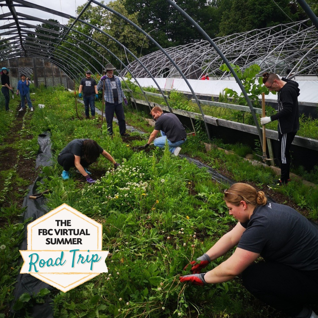 The #fbcsummerroadtrip is kicking off over on our Instagram account today with a stop at @greener_village in Fredericton, New Brunswick. Cruise on over to @foodbankscanada on IG at 11 am EST to see what they’ve been cooking up since we first visited them last summer.