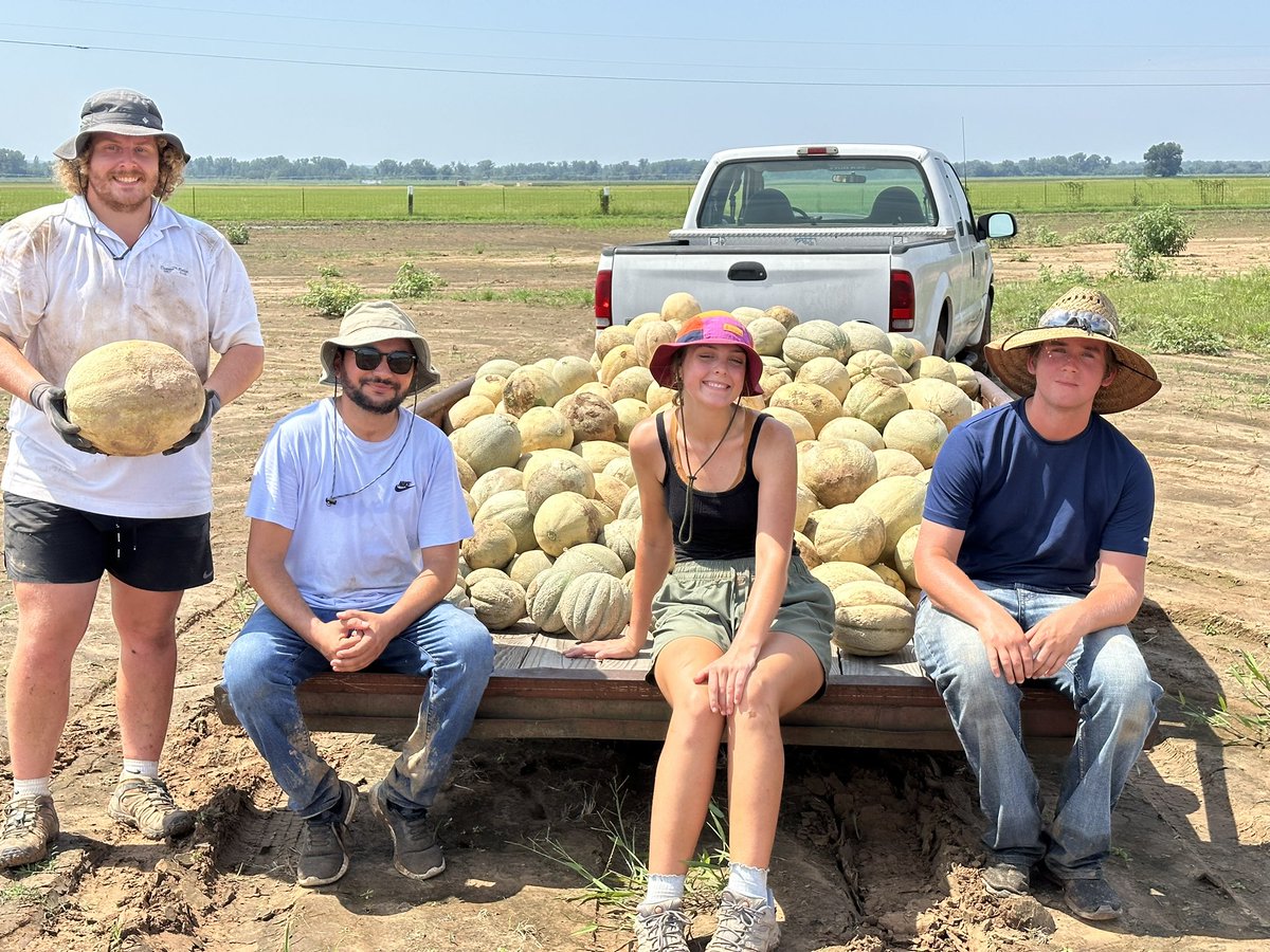 Another successful harvest with the best crew around! Hard work but lots of laughs  🍈