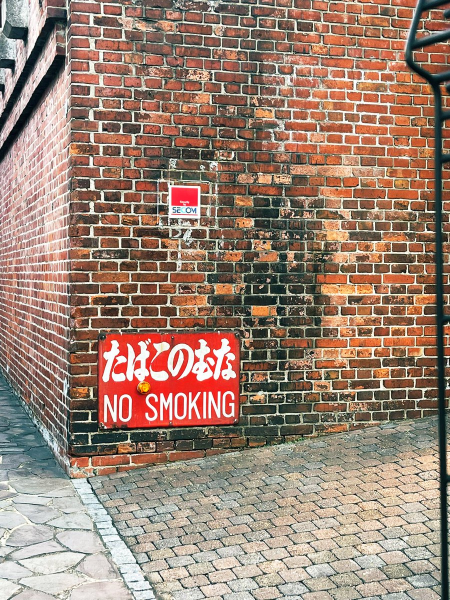 阿部 コトリ (@abekotori) on Twitter photo 