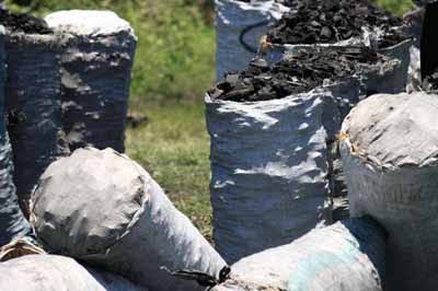 Police have directed the territorial police commanders to start the joint enforcement of the executive order on the burn and exportation of timber and charcoal within the country. Fred Enanga the police spokesman noted  that the territorial police commanders have been directed