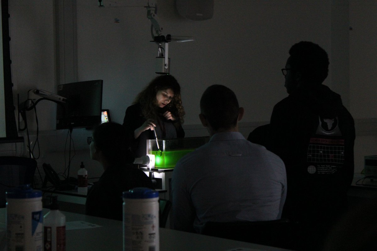 Dr Eva Philippaki tweet media