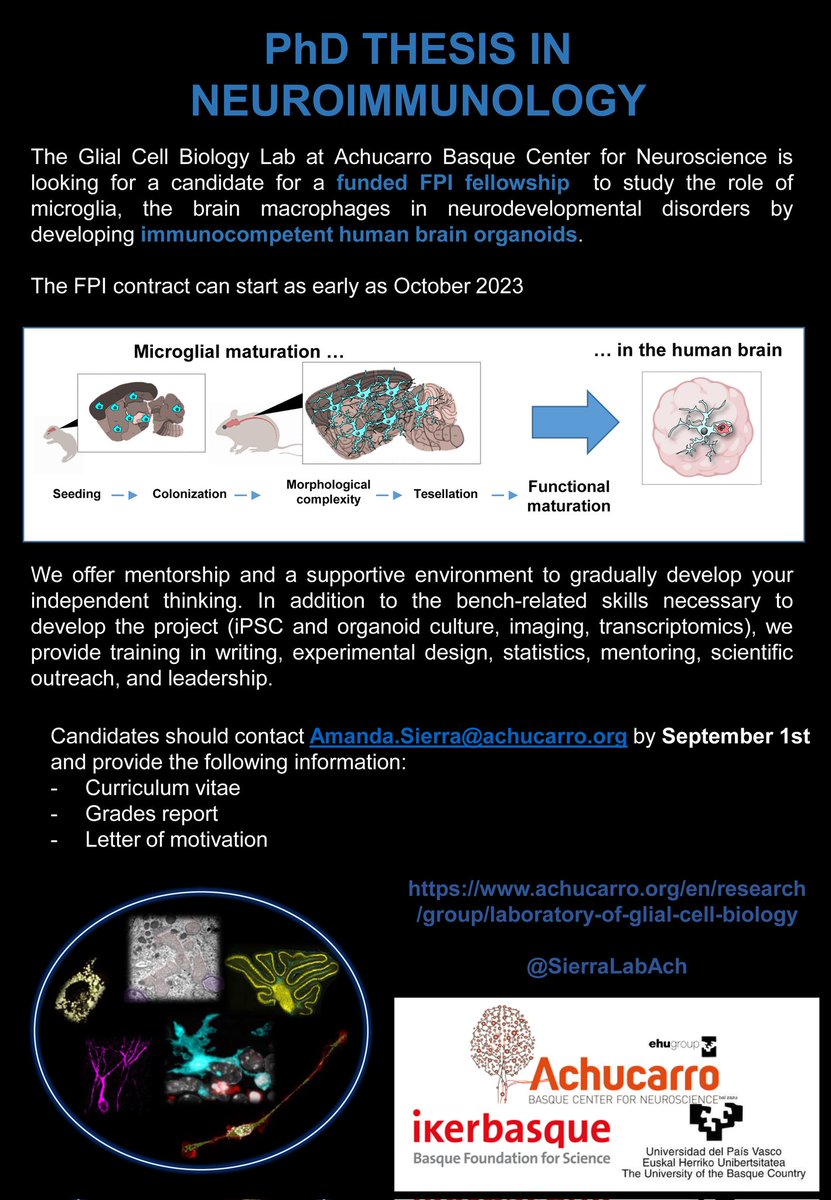 Microglial lovers, we have a 4-year #FPI contract to do a PhD thesis in our lab to develop immunocompetent human brain organoids to study the role of microglia in neurodevelopmental disorders.
#NeuroJobs #ScienceJobs