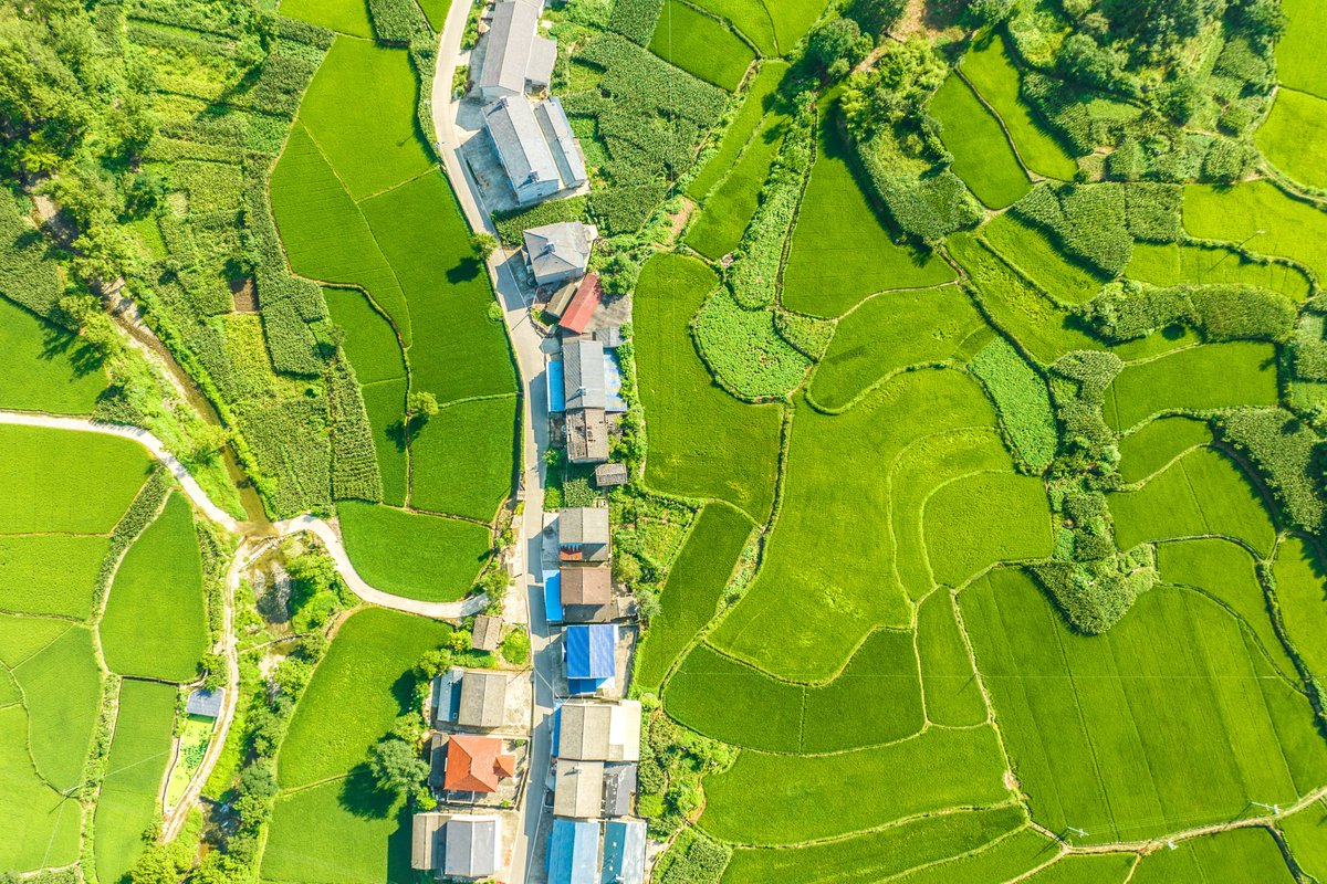 Gorgeous Yichang tweet media