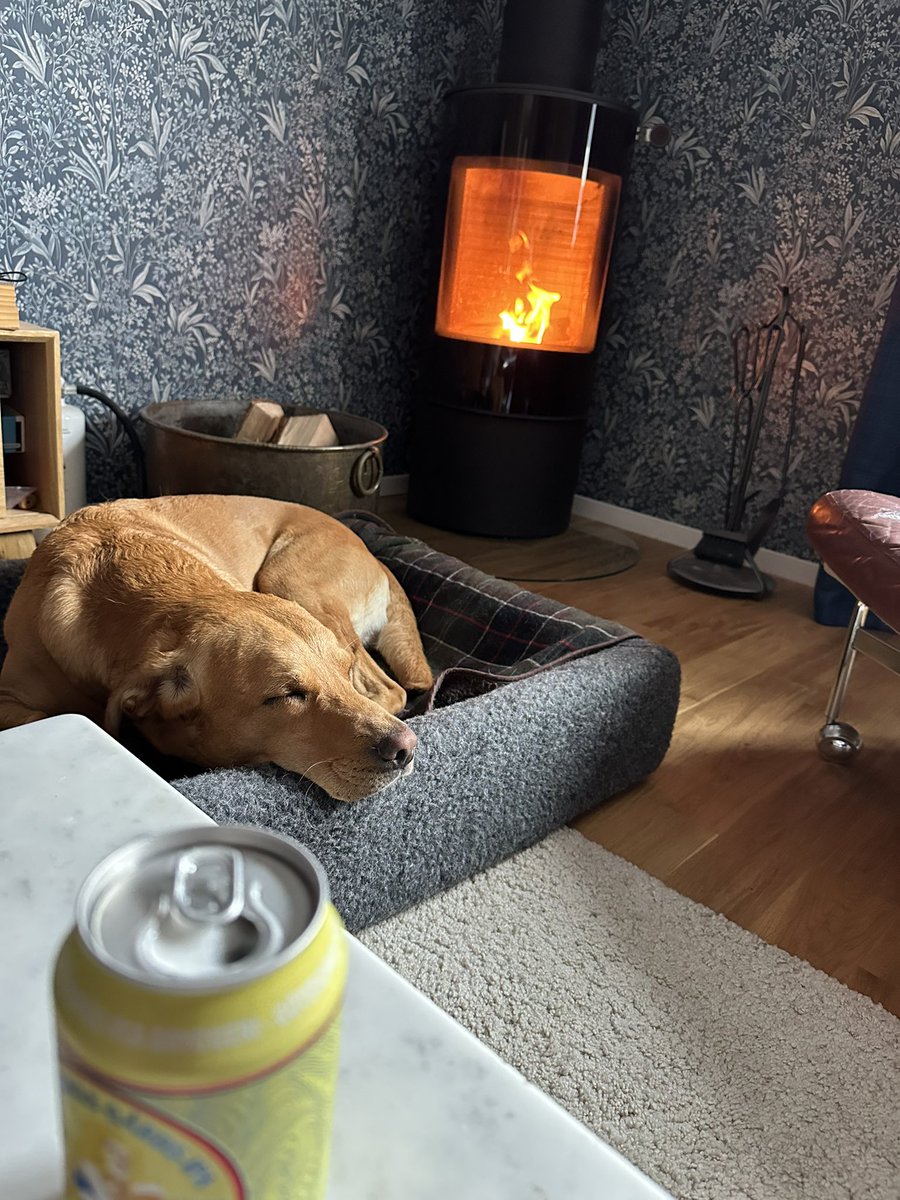 Efter hundpromenad i spöregn…livet är ändå rätt okej ibland 😎