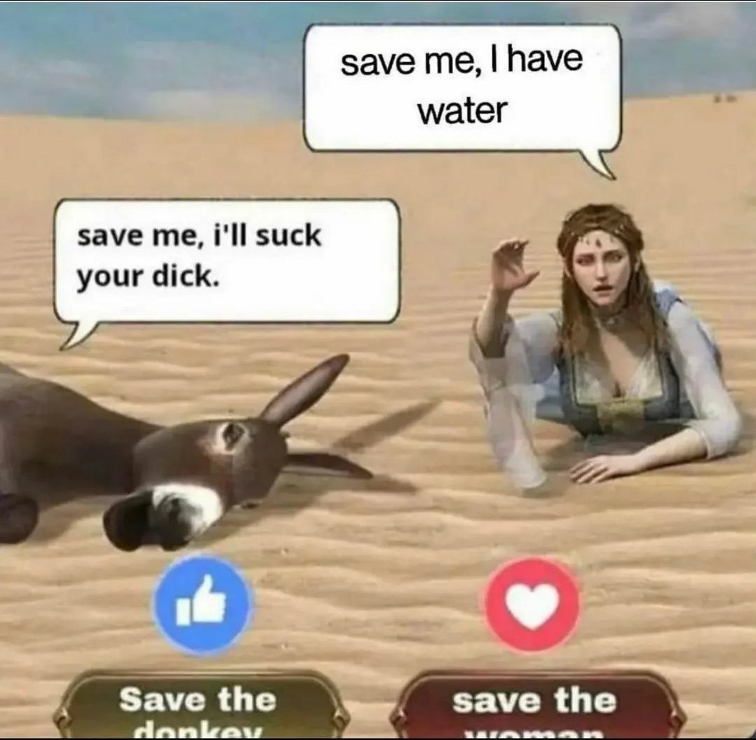 InnerTr's tweet photo. Donkey please https://t.co/rXlIc1BGZx