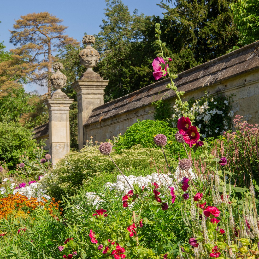 University of Oxford Botanic Garden and Arboretum tweet media