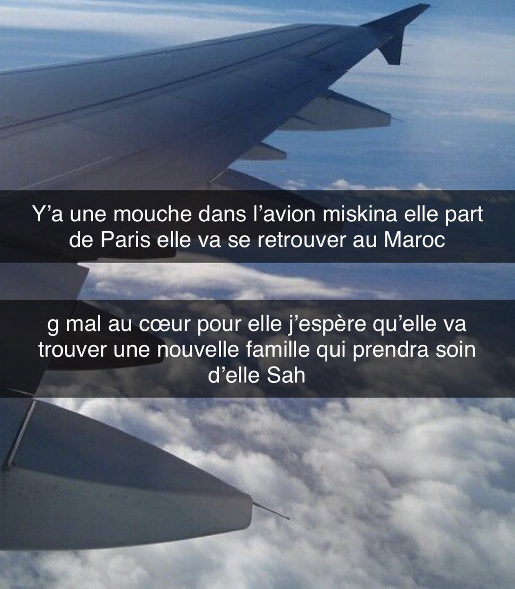 IDIOTS DU VILLAGE tweet media