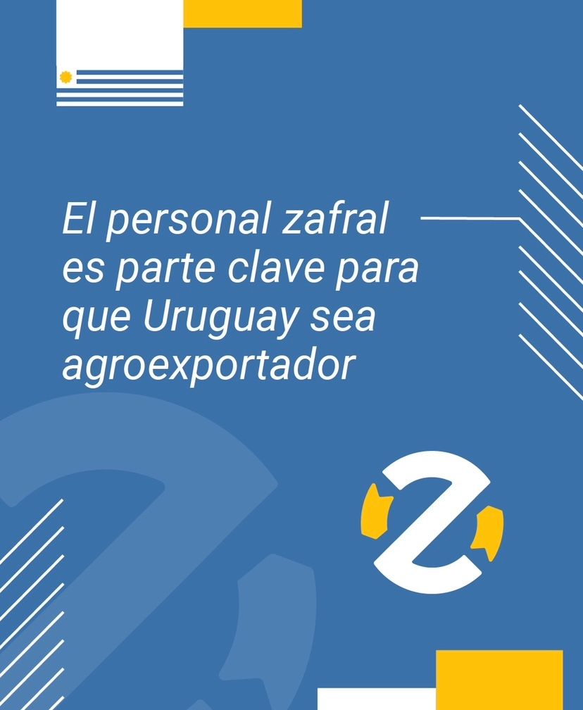 Zafrales tweet media