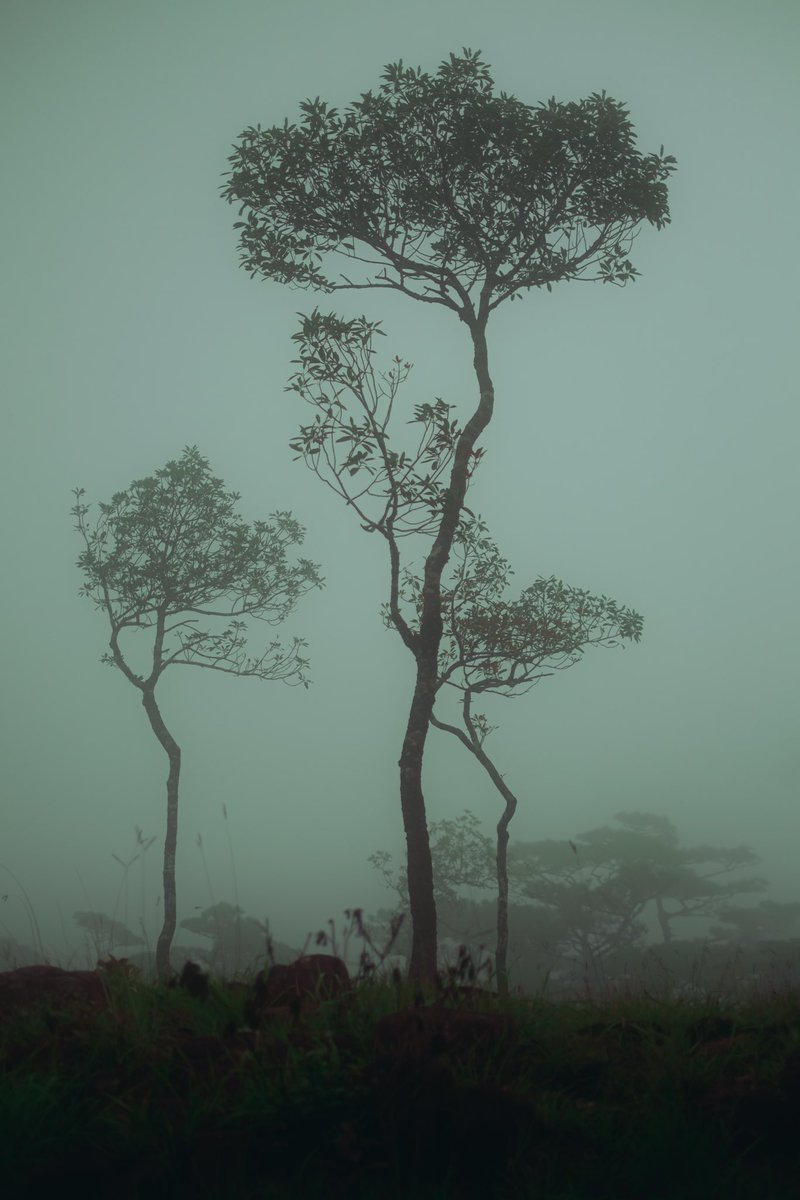 lazytiry's tweet photo. Day&amp;Night at Phu Soi Dao #photography #hiking #nature #fujifilm https://t.co/mKGKHlc2uu