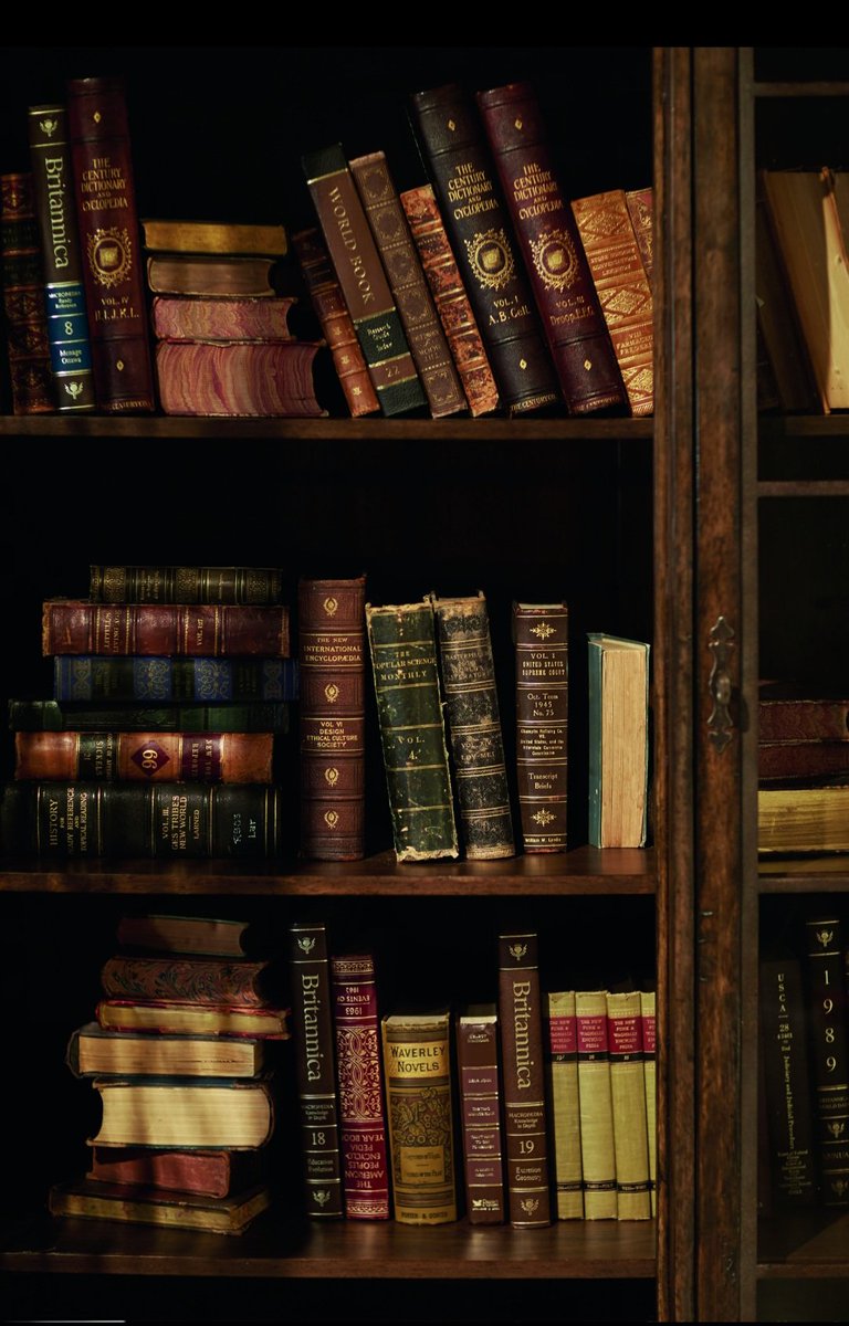 Sophia Proneikos tweet media