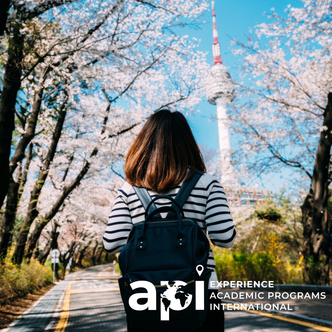 APIabroad's tweet image. 📣 This just in! 🌟 API now has an incredible new program in Seoul, South Korea! 🇰🇷 
Students asked, and we answered! 🙌 Study at one of Asia's most prestigious and multicultural universities, Korea University! 🎓
Learn more ! 🌐✨ 
bit.ly/44WlGlv
 #ExperienceAPI