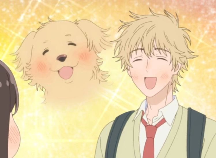 kyoruyeye's tweet image. my golden retriever sunshine boy 💛✨
