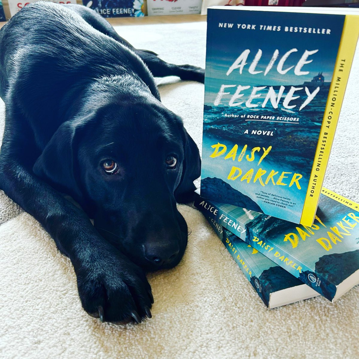 DAISY DARKER is published in paperback in the US today! To celebrate I have one signed copy to give away. For a chance to win just RT &amp; follow me. Open worldwide. Closes 30.07.23. Dog not included.