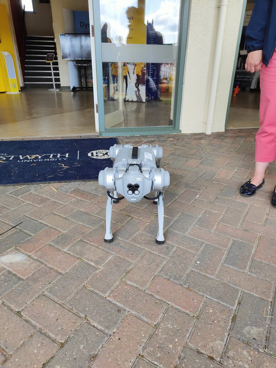 JacobL_1998's tweet photo. We have RoboWorm, they have RoboDog... I think people prefer RoboDog @AberUni @AberRobotics Even smiles for the camera! https://t.co/jmpsSCHtbz