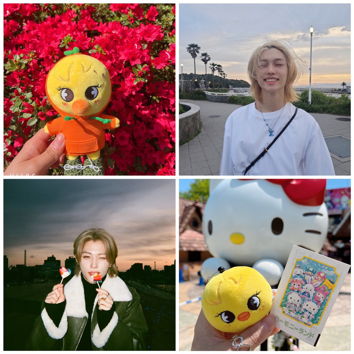 あーりん🐾🐣 tweet media