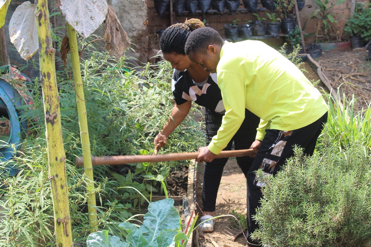 Holistic Actions for Development and Empowerment tweet media