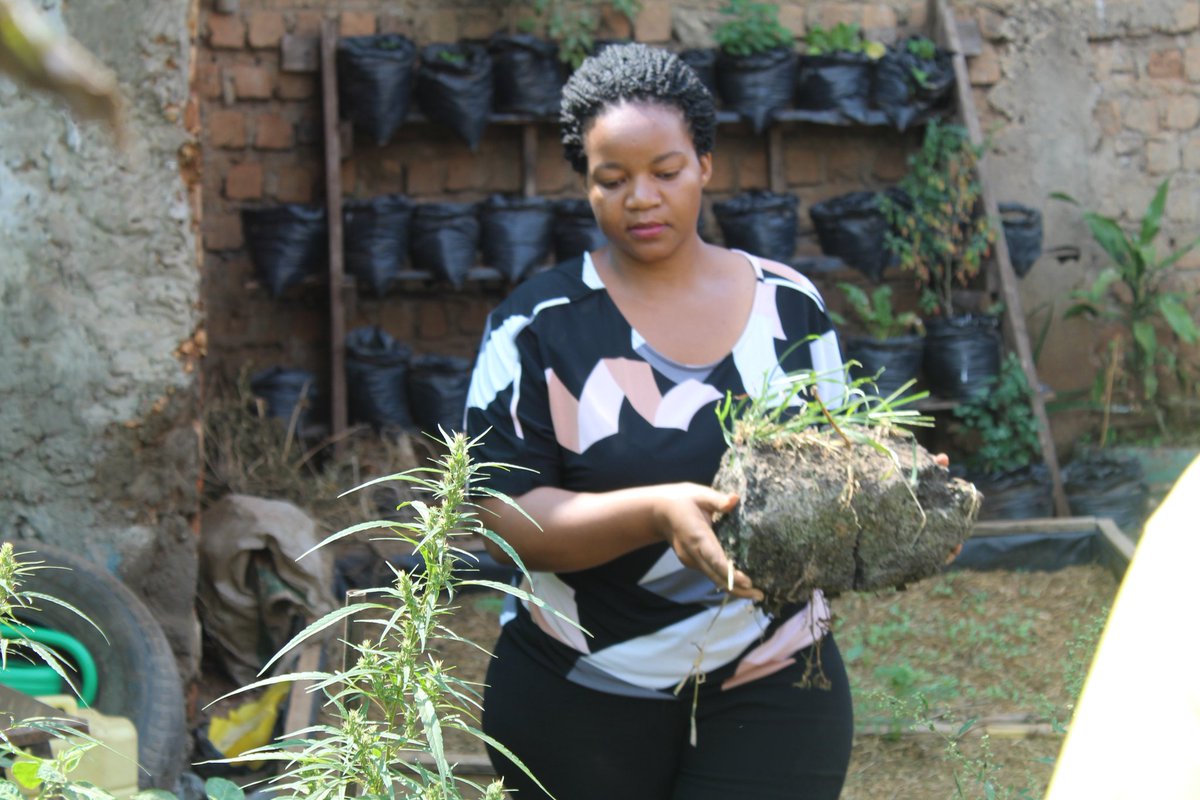 Holistic Actions for Development and Empowerment tweet media