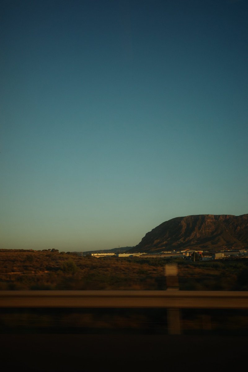 marius tweet media