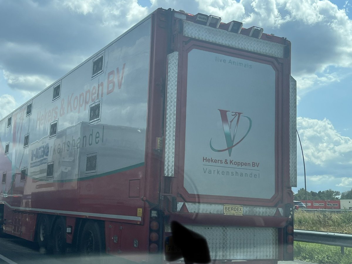 KarenSoeters's tweet photo. Van een afgesloten stal naar een afgesloten transport naar een afgesloten slachthuis. Mensen moeten vooral miet zien hoe wij met onze mede schepselen omgaan….. https://t.co/OfugMyc3Cd