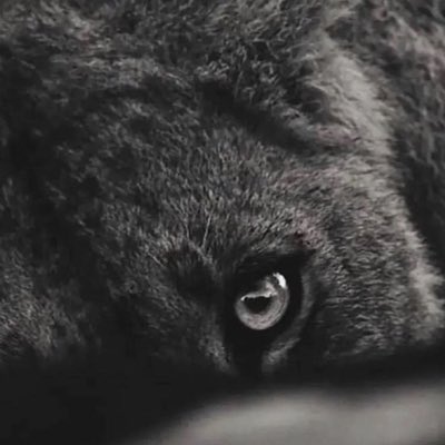 StreetYaya's tweet photo. #NouvellePhotoDeProfil https://t.co/8DAfbpaH44