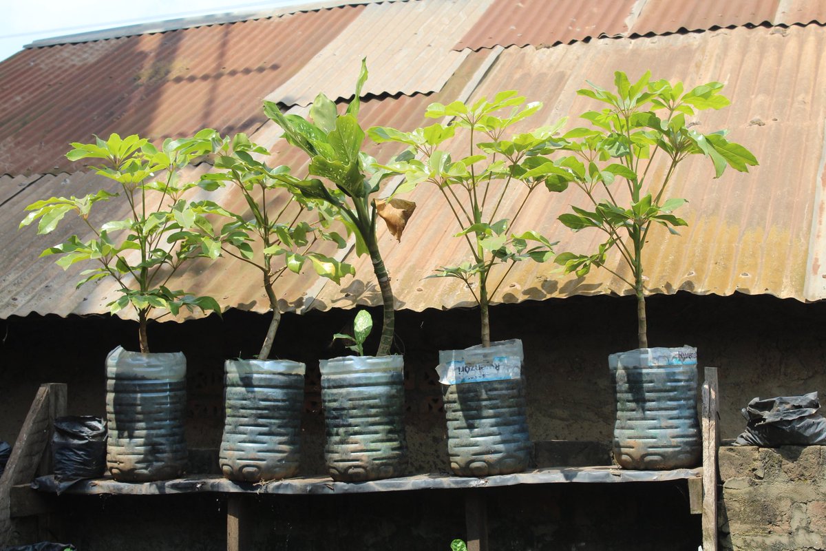 Holistic Actions for Development and Empowerment tweet media