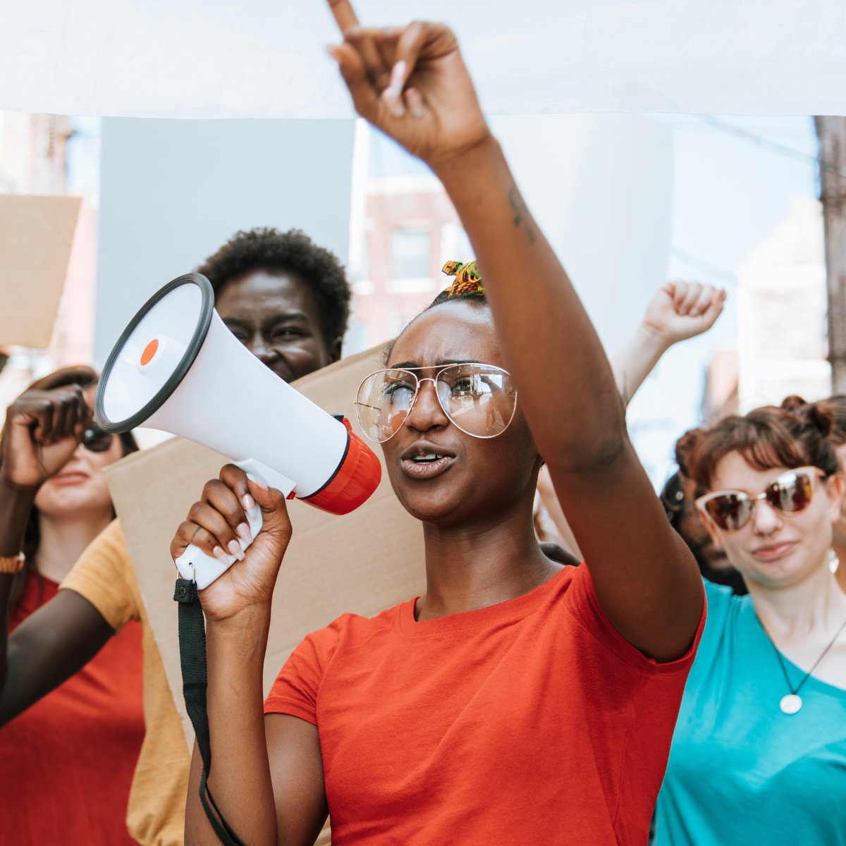 256 Content tweet media