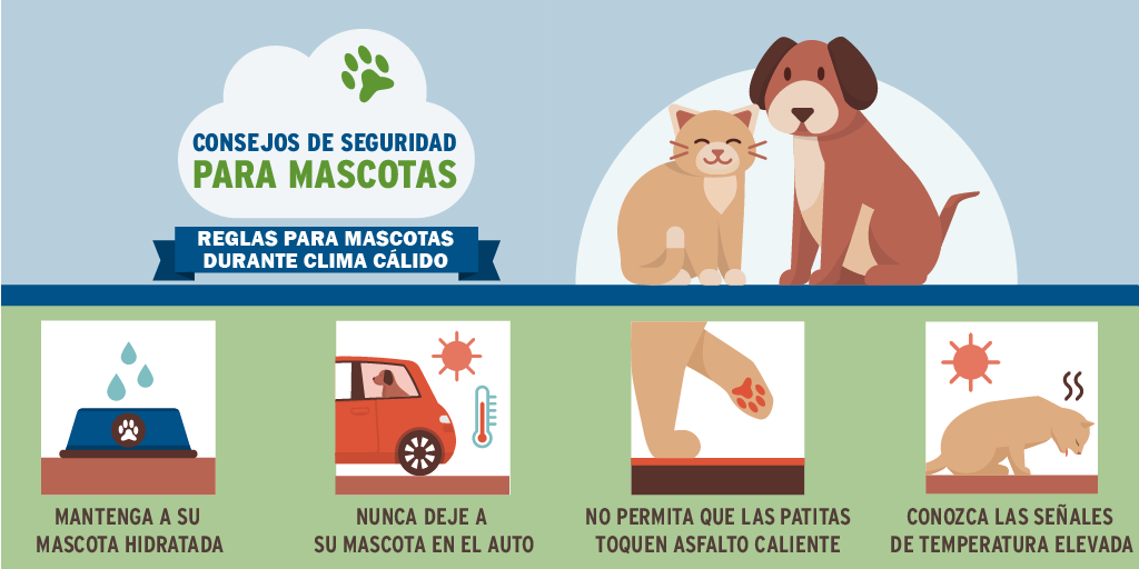 These are the Dog Days of Summer!☀️We're expecting some record breaking temps this week &amp; we can't forget about our furry friends. Test sidewalks with your hand. If it’s too hot for your hand, it’s probably too hot for your pet. Follow this tip &amp; more to keep your pets safe.