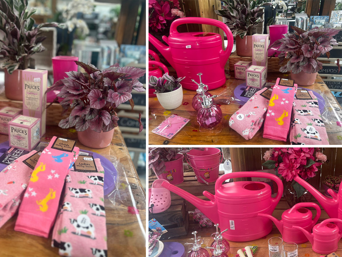 StBridgetExeter's tweet photo. Everyone's talking about Barbie this week. It's made us all tickled pink! Come and enjoy our Barbie-pink selection, all available from our Garden Centre shop. We are open 9-5 Monday-Saturday and 10-4 on Sundays.
#barbie #barbiepink https://t.co/I0iKUfWf6k