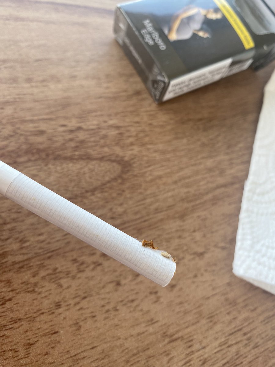 busranrnk's tweet photo. Hayatımın şokunu yaşadım az önce dün aldığım sigaranın içinden sigaranın dalına yapışmış ve ag örmüş kocaman bir örümcek çıktı🙄 Tamam  odun parçası koymanızı anladık alıştıkta ama kocaman örümcek nedir yaaaa @InsidePMI   #marlboro https://t.co/2q5F2FWSBY