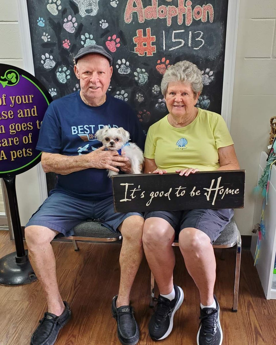 spcafl's tweet photo. 🐾🚨Adoption Alert!🚨🐾
In the last two weeks, we had 153 adoptions! A special thank you to all our recent adopters! You've not only rescued the life of the animal you adopted, but you also opened up a space for another to be saved.

View more adopted:
https://t.co/eRyJjCUf86 https://t.co/pIc9iJD5Q0