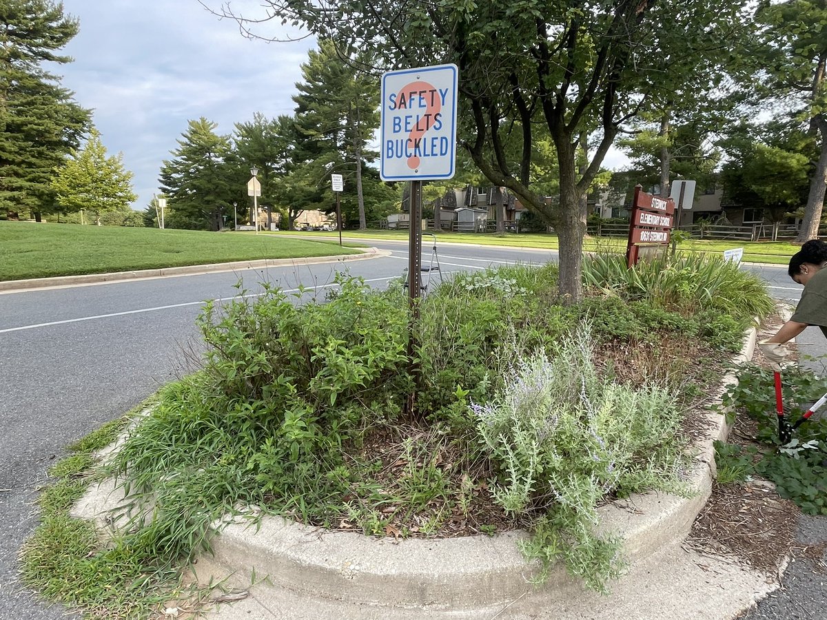 Grecia Albarracin tweet media