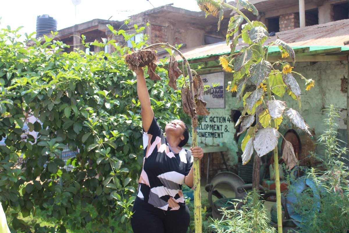 Holistic Actions for Development and Empowerment tweet media