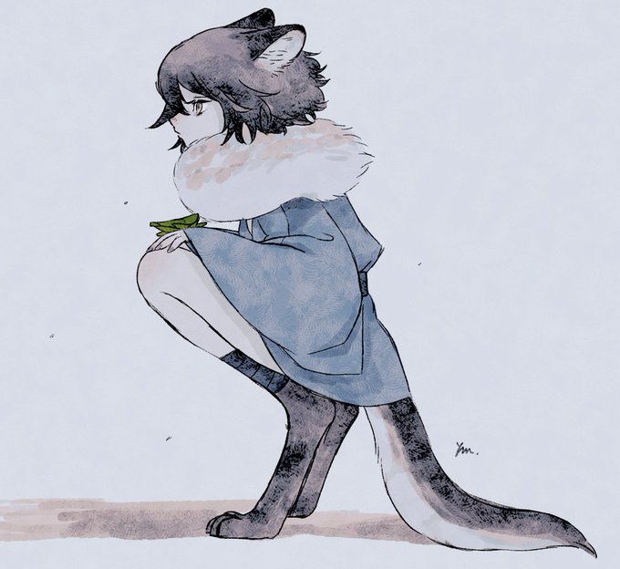 「black hair raccoon tail」 illustration images(Latest)